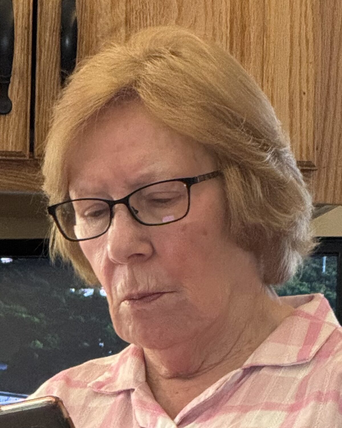 Jane Williamson, Vice President of Alron Corporation